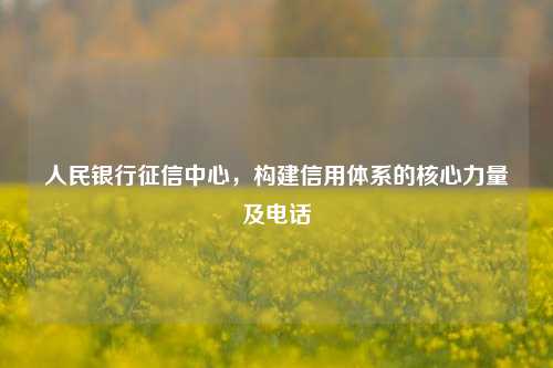 人民银行征信中心，构建信用体系的核心力量及电话