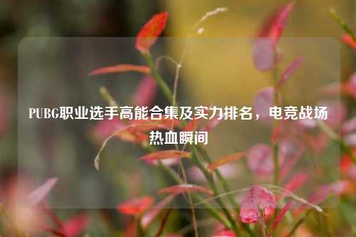 PUBG职业选手高能合集及实力排名，电竞战场热血瞬间