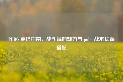 PUBG 穿搭指南，战斗裤的魅力与 pubg 战术长裤搭配