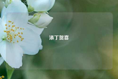 添丁贺喜