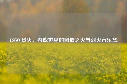 CSGO 烈火，游戏世界的激情之火与烈火音乐盒