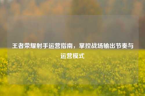 王者荣耀射手运营指南,掌控战场输出节奏与运营模式