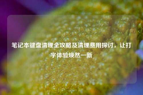 笔记本键盘清理全攻略及清理费用探讨,让打字体验焕然一新