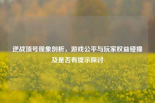 逆战顶号现象剖析，游戏公平与玩家权益碰撞及是否有提示探讨