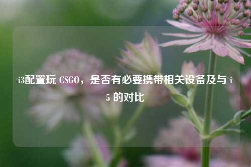 i3配置玩 CSGO，是否有必要携带相关设备及与 i5 的对比