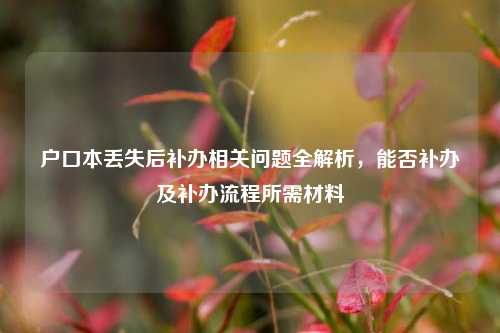 户口本丢失后补办相关问题全解析，能否补办及补办流程所需材料