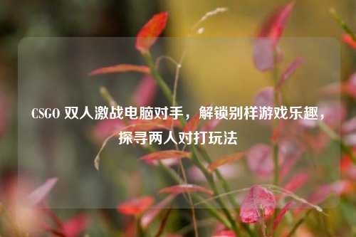 CSGO 双人激战电脑对手，解锁别样游戏乐趣，探寻两人对打玩法