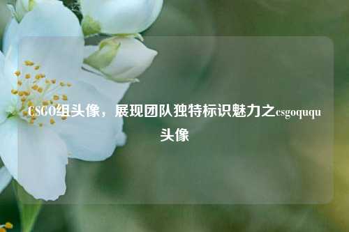 CSGO组头像,展现团队独特标识魅力之csgoququ头像
