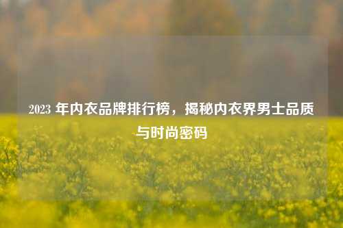 2023 年内衣品牌排行榜,揭秘内衣界男士品质与时尚密码