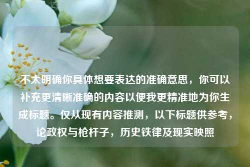 不太明确你具体想要表达的准确意思，你可以补充更清晰准确的内容以便我更精准地为你生成标题。仅从现有内容推测，以下标题供参考，论政权与枪杆子，历史铁律及现实映照