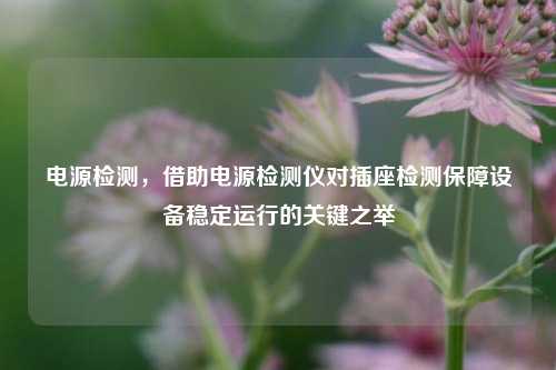 电源检测,借助电源检测仪对插座检测保障设备稳定运行的关键之举