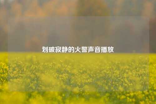 划破寂静的火警声音播放