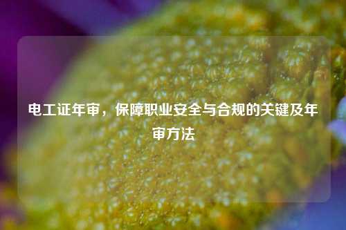 电工证年审，保障职业安全与合规的关键及年审方法