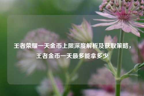 王者荣耀一天金币上限深度解析及获取策略,王者金币一天最多能拿多少