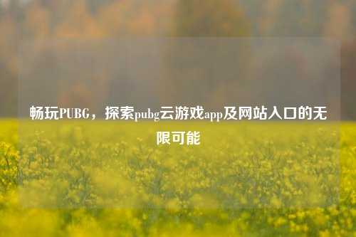畅玩PUBG，探索pubg云游戏app及网站入口的无限可能