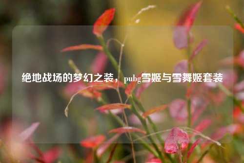 绝地战场的梦幻之装，pubg雪姬与雪舞姬套装