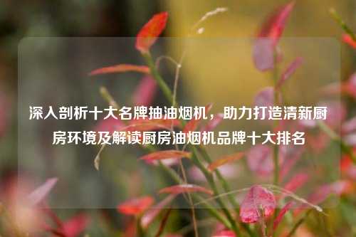 深入剖析十大名牌抽油烟机,助力打造清新厨房环境及解读厨房油烟机品牌十大排名