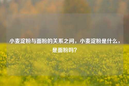 小麦淀粉与面粉的关系之问，小麦淀粉是什么，是面粉吗？