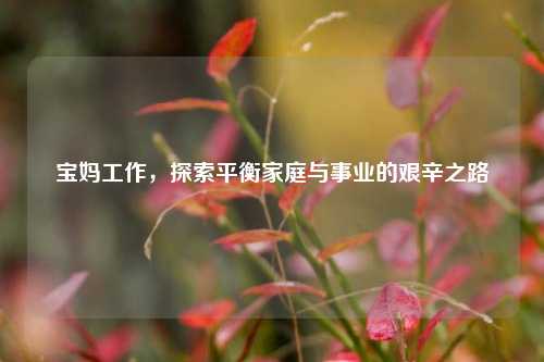 宝妈工作，探索平衡家庭与事业的艰辛之路