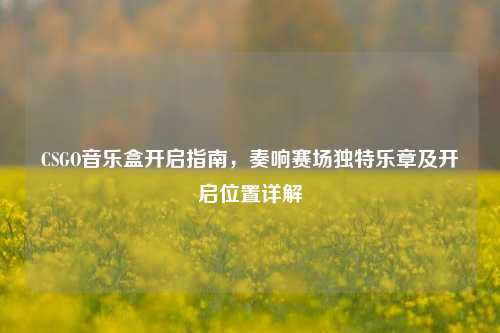 CSGO音乐盒开启指南，奏响赛场独特乐章及开启位置详解