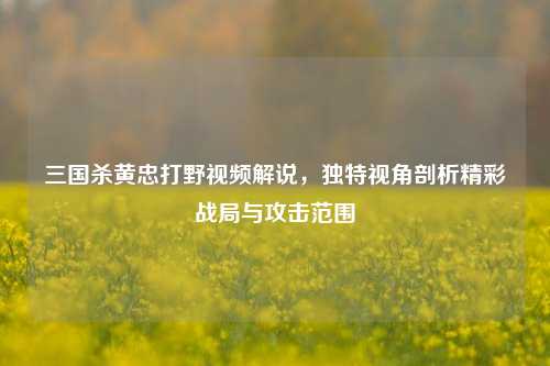 三国杀黄忠打野视频解说，独特视角剖析精彩战局与攻击范围