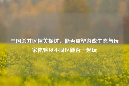 三国杀并区相关探讨，能否重塑游戏生态与玩家体验及不同区能否一起玩