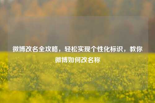 微博改名全攻略，轻松实现个性化标识，教你微博如何改名称