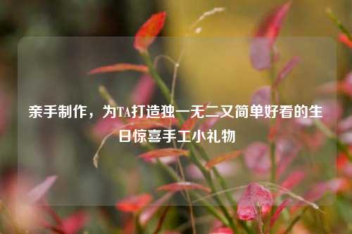 亲手制作,为TA打造独一无二又简单好看的生日惊喜手工小礼物