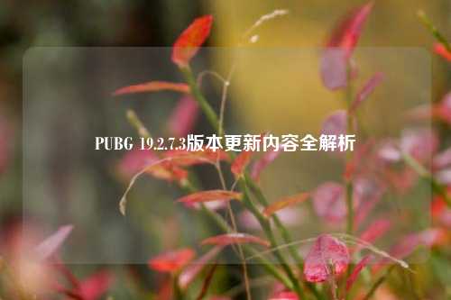PUBG 19.2.7.3版本更新内容全解析