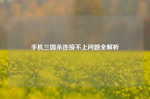手机三国杀连接不上问题全解析