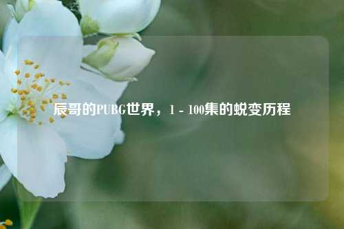 辰哥的PUBG世界,1 - 100集的蜕变历程