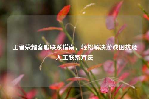 王者荣耀客服联系指南，轻松解决游戏困扰及人工联系方法