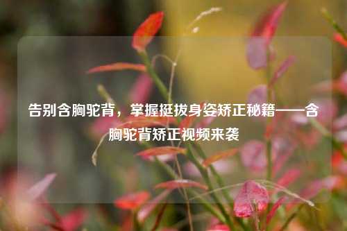 告别含胸驼背，掌握挺拔身姿矫正秘籍——含胸驼背矫正视频来袭