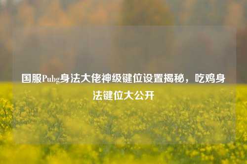 国服Pubg身法大佬神级键位设置揭秘，吃鸡身法键位大公开