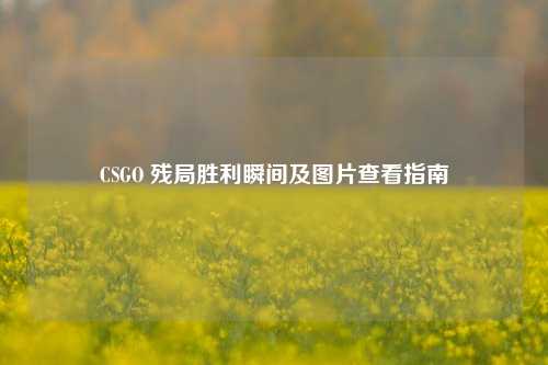 CSGO 残局胜利瞬间及图片查看指南