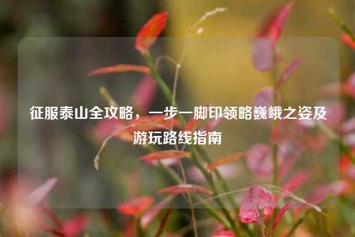 征服泰山全攻略，一步一脚印领略巍峨之姿及游玩路线指南