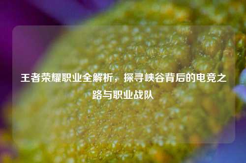 王者荣耀职业全解析，探寻峡谷背后的电竞之路与职业战队