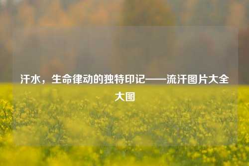 汗水,生命律动的独特印记——流汗图片大全大图
