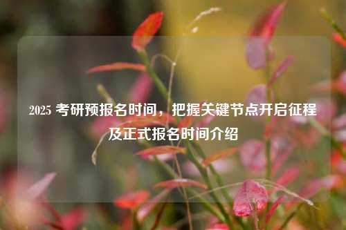 2025 考研预报名时间,把握关键节点开启征程及正式报名时间介绍