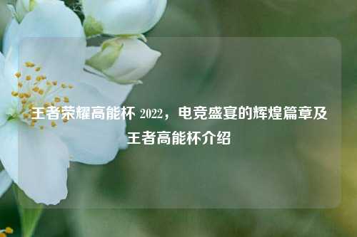 王者荣耀高能杯 2022，电竞盛宴的辉煌篇章及王者高能杯介绍