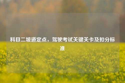 科目二坡道定点,驾驶考试关键关卡及扣分标准