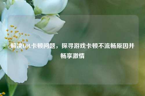 解决LOL卡顿问题，探寻游戏卡顿不流畅原因并畅享激情