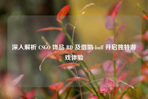 深入解析 CSGO 饰品 BD 及借助 buff 开启独特游戏体验