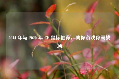 2014 年与 2020 年 CF 鼠标推荐，助你游戏称霸战场