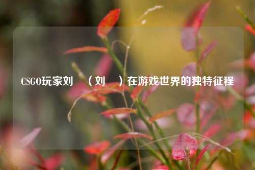 CSGO玩家刘墠（刘頔）在游戏世界的独特征程