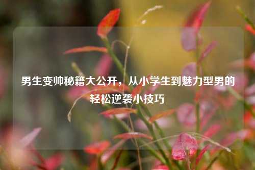 男生变帅秘籍大公开，从小学生到魅力型男的轻松逆袭小技巧