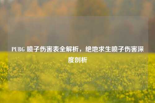 PUBG 喷子伤害表全解析,绝地求生喷子伤害深度剖析