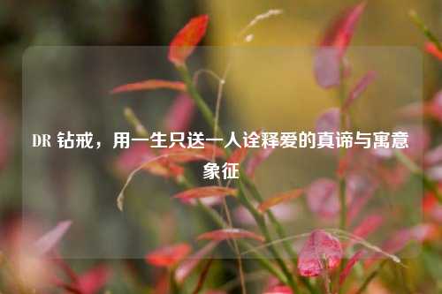 DR 钻戒,用一生只送一人诠释爱的真谛与寓意象征