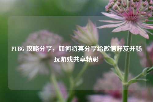 PUBG 攻略分享,如何将其分享给微信好友并畅玩游戏共享精彩