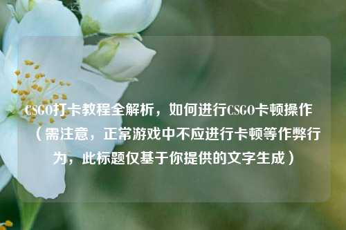 CSGO打卡教程全解析，如何进行CSGO卡顿操作  （需注意，正常游戏中不应进行卡顿等作弊行为，此标题仅基于你提供的文字生成）